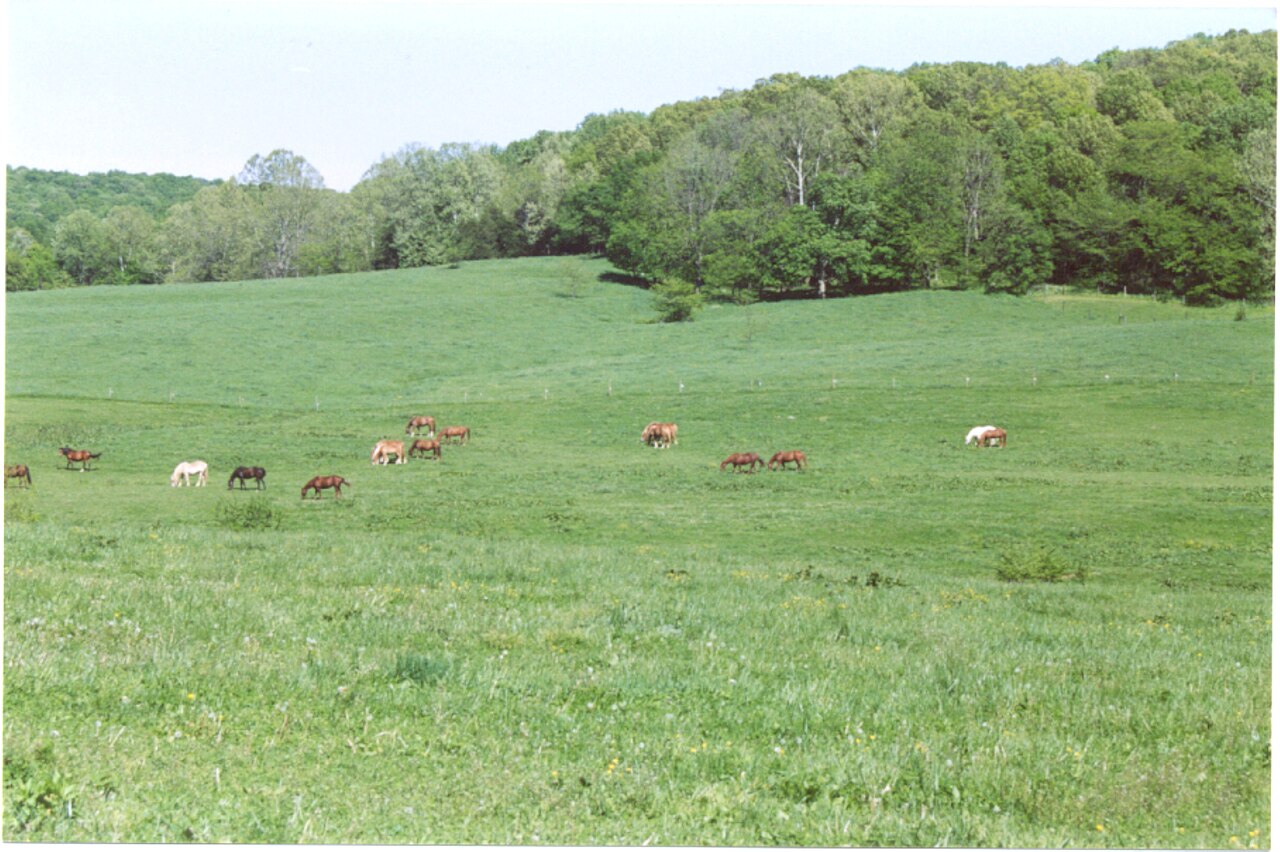 Indiana Fall Foliage: Orchards & Scenic Drives